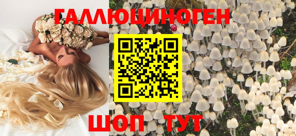 Галлюциногенные грибы ЛСД Кириши